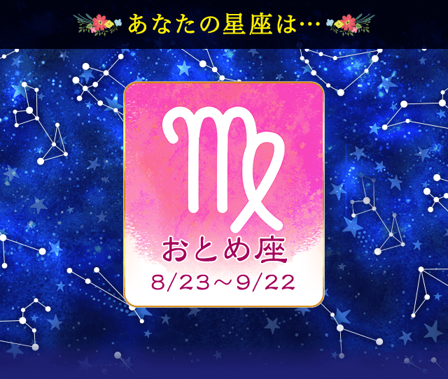 �v���t�B�[��