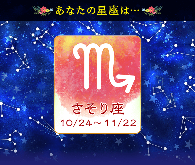 �v���t�B�[��