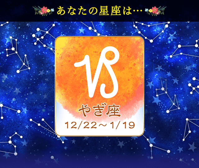 �v���t�B�[��